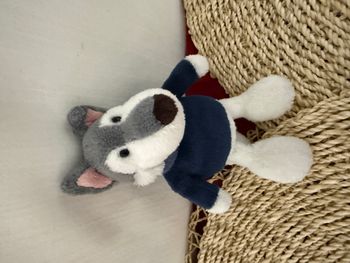 Nici Husky Jack, garçon en pull