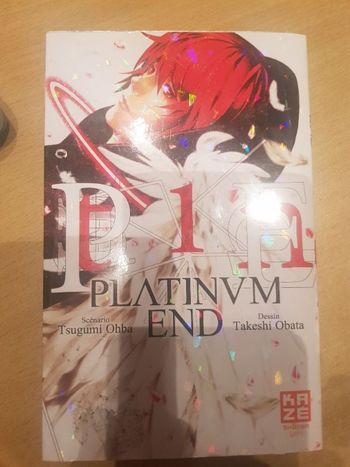 Platinium end