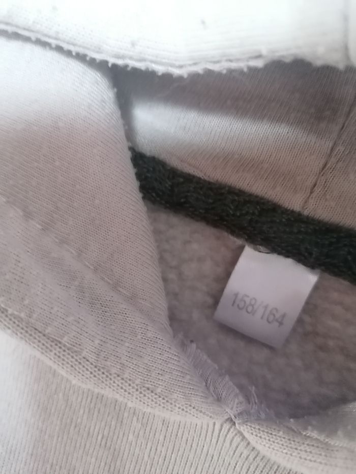 Pull sweat-shirt à capuche garçon 12/14  ans - photo numéro 4