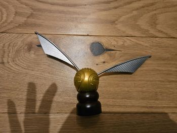 Vif d'or Harry Potter 