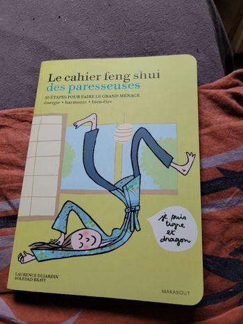 Le cahier feng shui des paresseuses