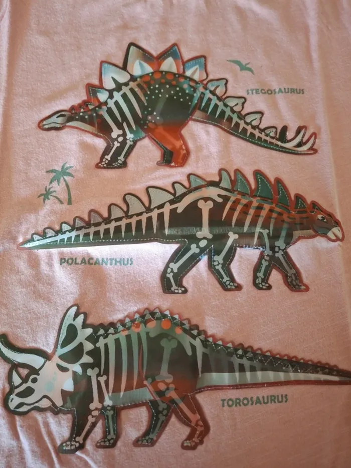 Tea shirts 10 ans - photo numéro 6