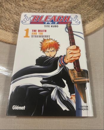 Bleach - Tome 01