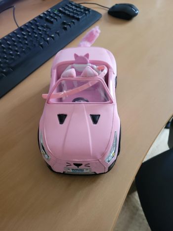 VOITURE NA NA NA SURPRISE