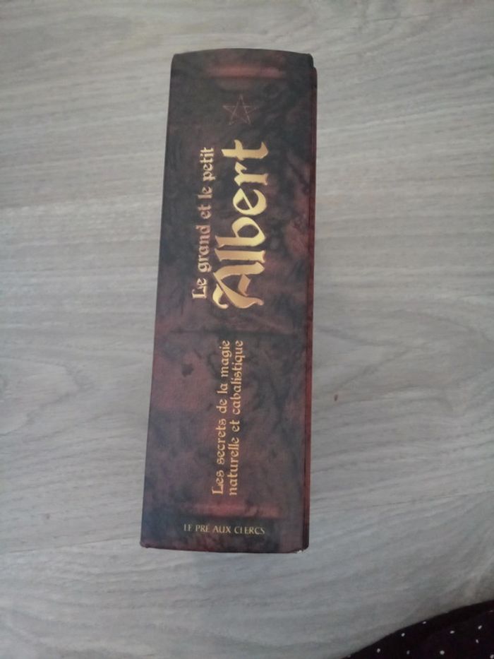 Le grand et le petit Albert - photo numéro 2