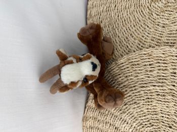 Peluche chamois ou bouquetin CREATIONS DANI