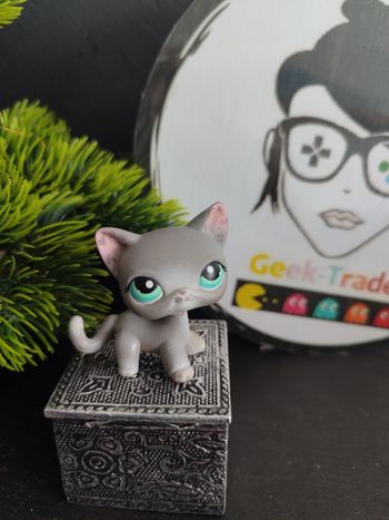 Littlest Petshop Pet Shop LPS Authentic  Authentique cat Shorthair European 126