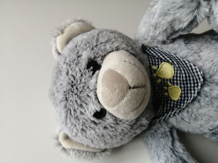 peluche ours - photo numéro 2