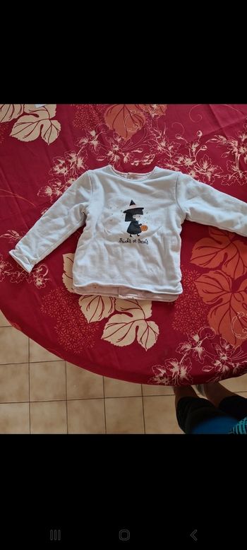 Sweat-shirt taille 2 ans