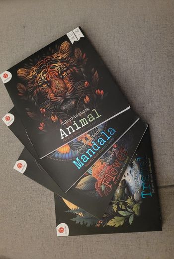 🎨 Lot de 4 Livres de Coloriage – Animaux, Voyage, Mandalas & Fleurs