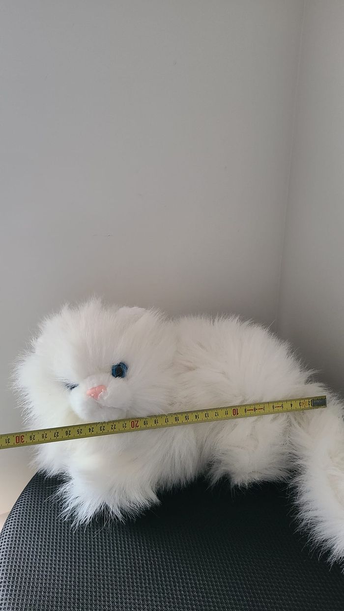 doudou chat - photo numéro 4
