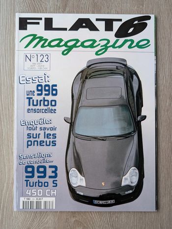 Porsche Flat 6 n°123