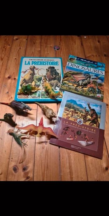 Lot livres découverte préhistoire