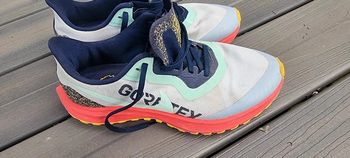 Nike Pegasus trail Gore Tex