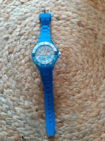 Montre pokémon