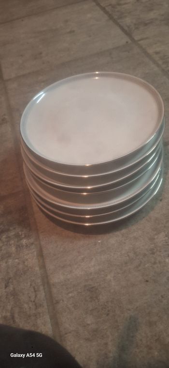 Lot 7 assiettes porcelaines colditz