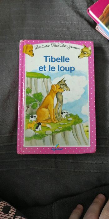 Livre tibelle et le loup