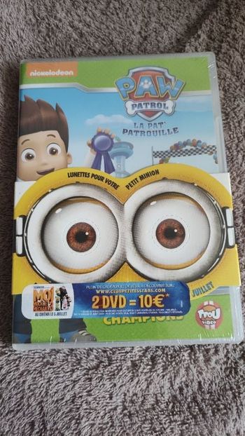 DVD Pat Patrouille Une équipe de champions