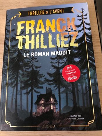 Le roman maudit