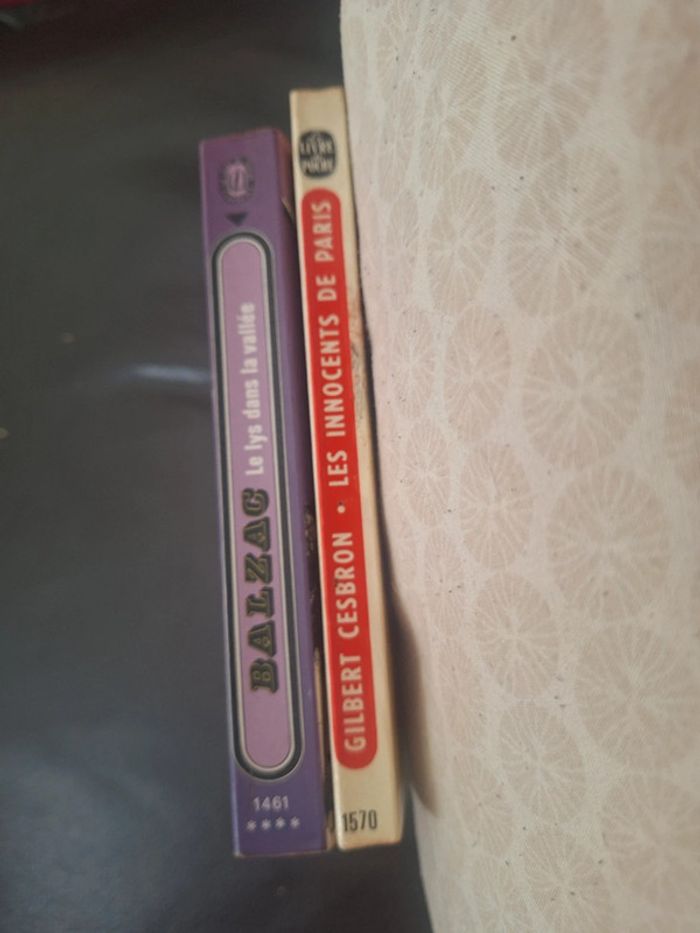 Lot 2 livres de poches classiques - photo numéro 3