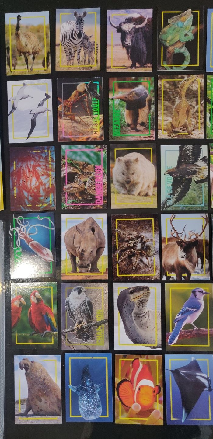 Lot classeur Incroyables animaux neuf + 64 cartes - photo numéro 2