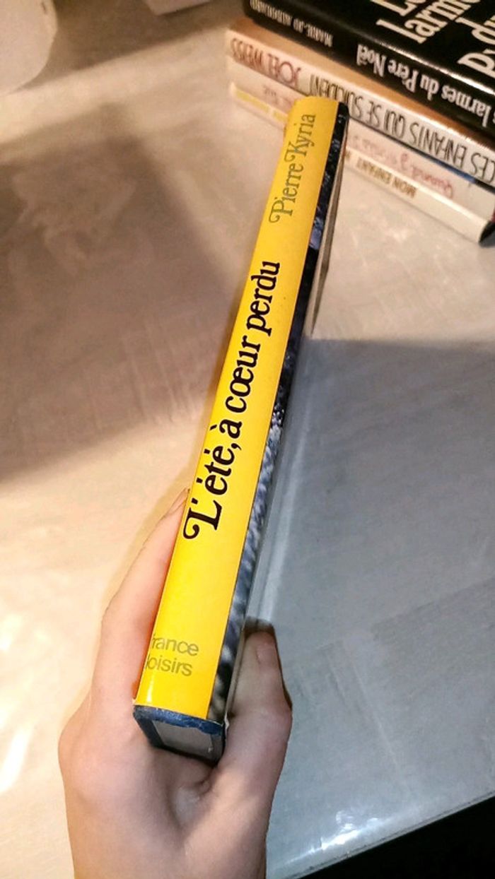 L'été à cœur perdu - photo numéro 2