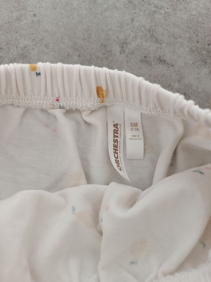 Bloomers - photo numéro 2