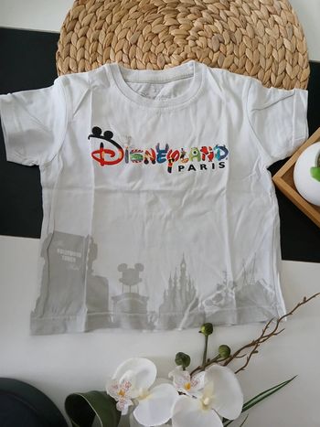 Haut d'été garçon Disneyland Paris Taille 2 ans🌿🦁