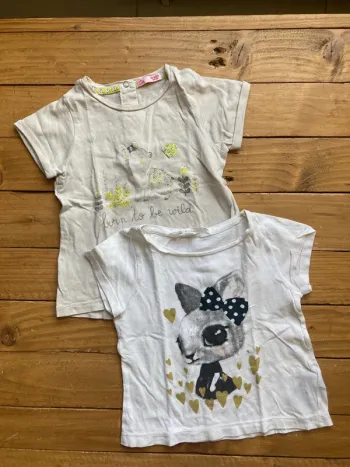 2 tee shirts