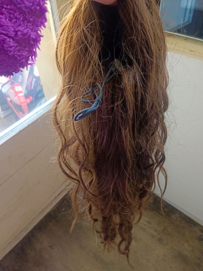 Perruque queue de cheval - photo numéro 2