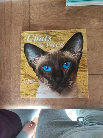 Chat de race