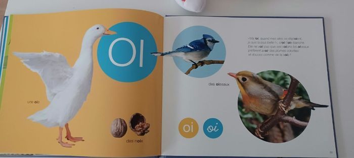 Livre les lettres neuf. - photo numéro 8