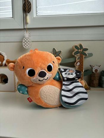 Loutre Fisher price 2 en 1