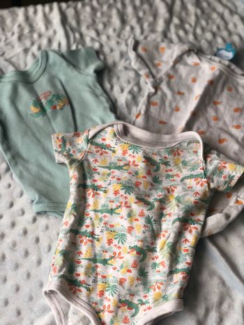 Bodies manches courtes