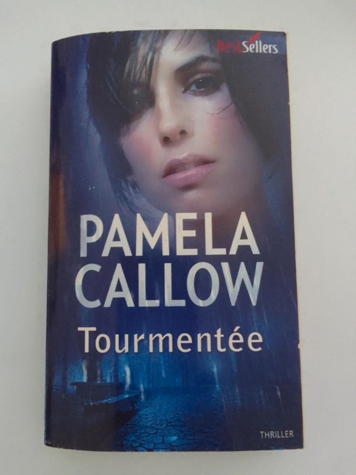 Pamela Callow 🪅 Tourmentée - photo numéro 1