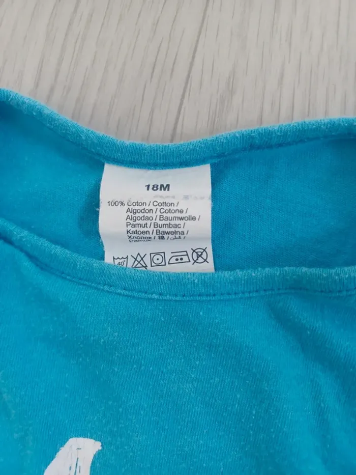 Lot petit pull et 1 t-shirt garçon 18 mois - photo numéro 16