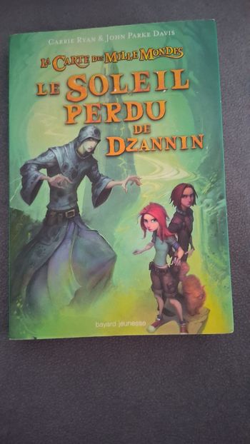 Le soleil perdu du dzannin