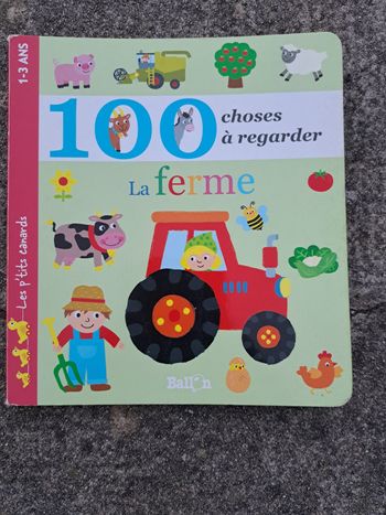 Livre 100 choses à regarder