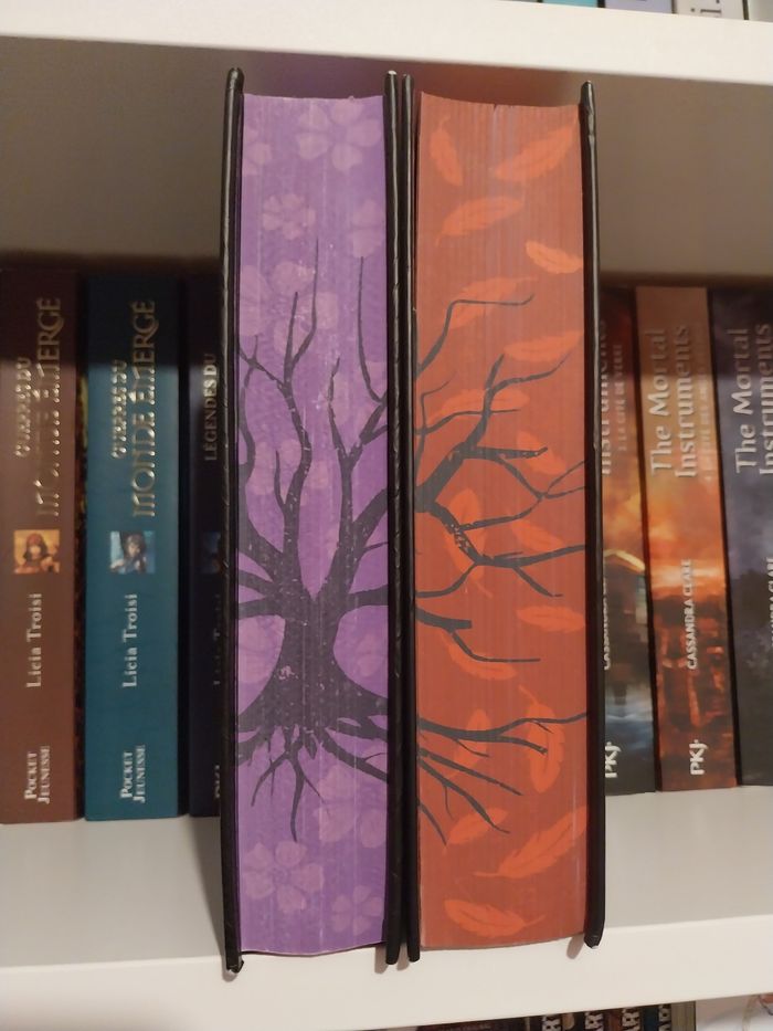 Romans Captive tomes 1.5 Perfectly Wrong et 2 Captive Reliés Collectors jaspage BMR Sarah Rivens Asher Ella Dark Romance - photo numéro 4