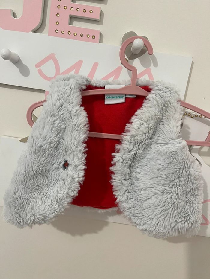 Lot de 4 petits gilets fourrure 3 mois
