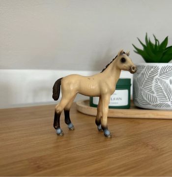 Figurine Schleich - Poulain Akhal Téké
