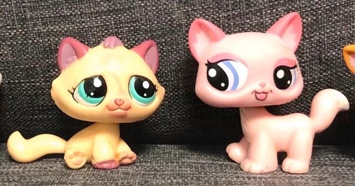 Lot petshops - photo numéro 14