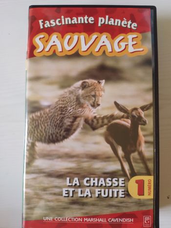 K7vhs les sauvages