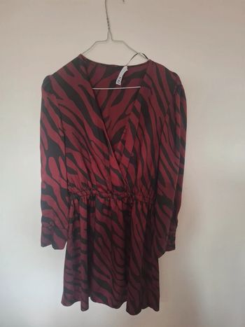 Robe zara