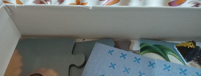 Puzzle Arlo 3 a s et plus - photo numéro 9