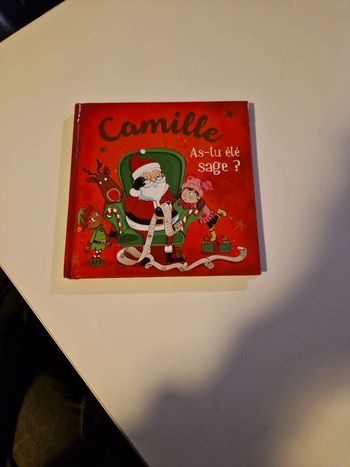 Livre : Camille as-tu été sage ?