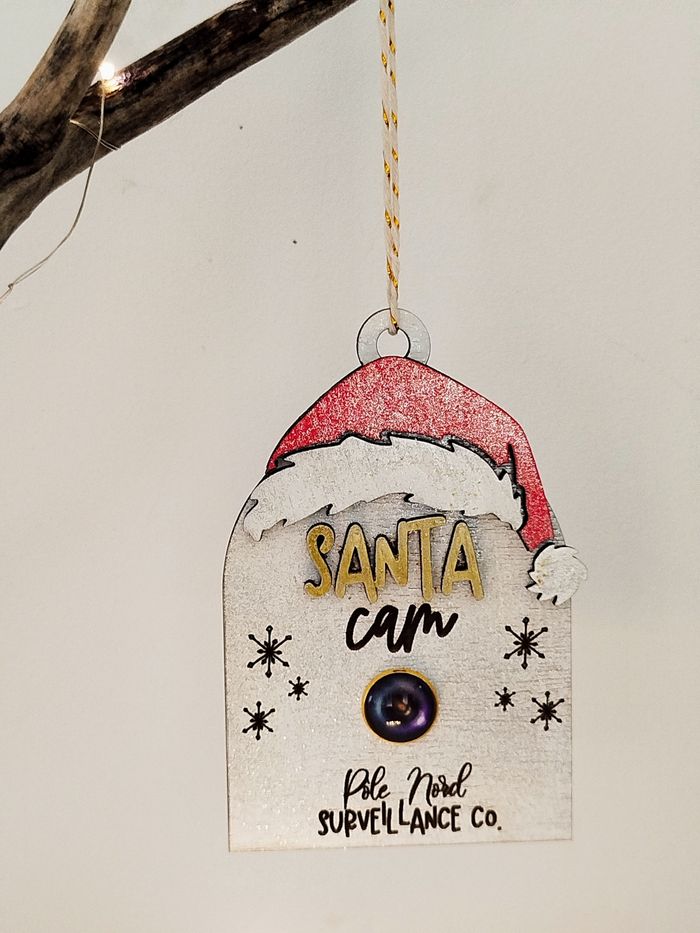 Boule "caméra surveillance" pôle nord - photo numéro 2