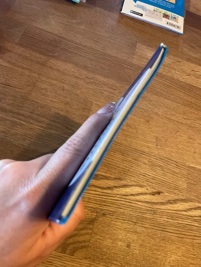 Livre premières lectures Les animaux de Lou Je te protège, Petit Loup ! - photo numéro 5