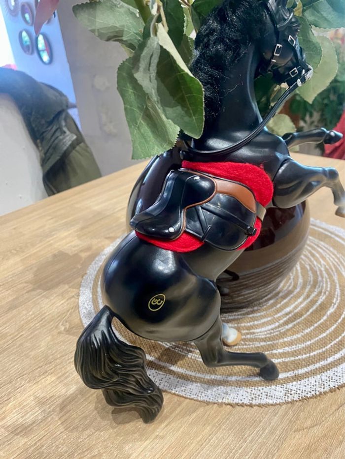 Zorro et son cheval Tornado qui henni - photo numéro 15