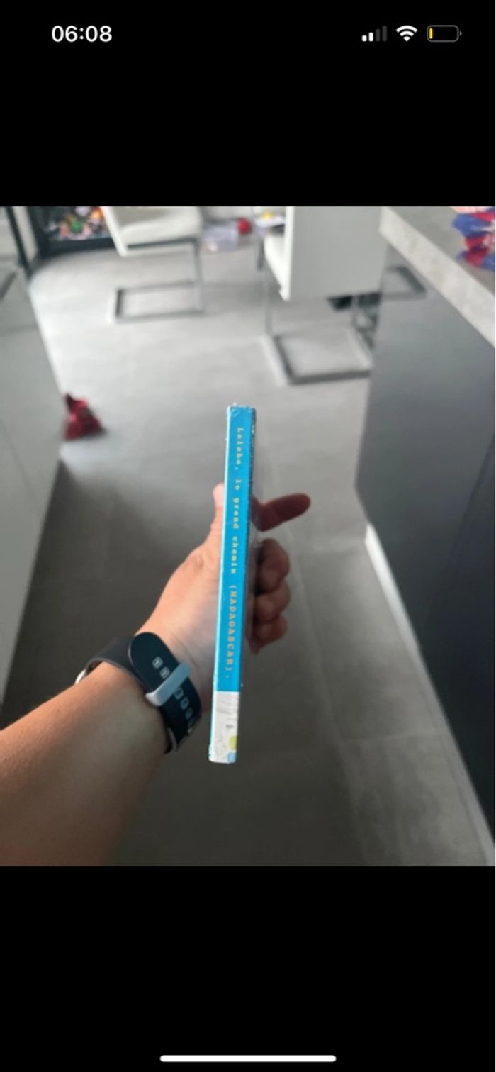 Cd Lalabe le grand chemin, Madagascar - photo numéro 8